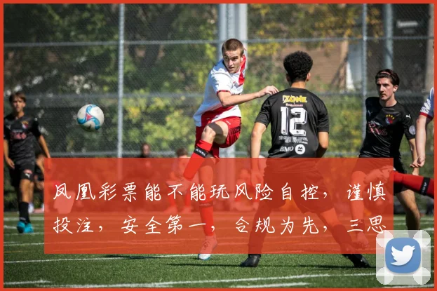凤凰彩票能不能玩风险自控，谨慎投注，安全第一，合规为先，三思而后行。