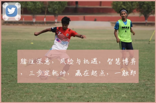 赌注深意，风险与机遇，智慧博弈，三步定乾坤，赢在起点，一触即发。