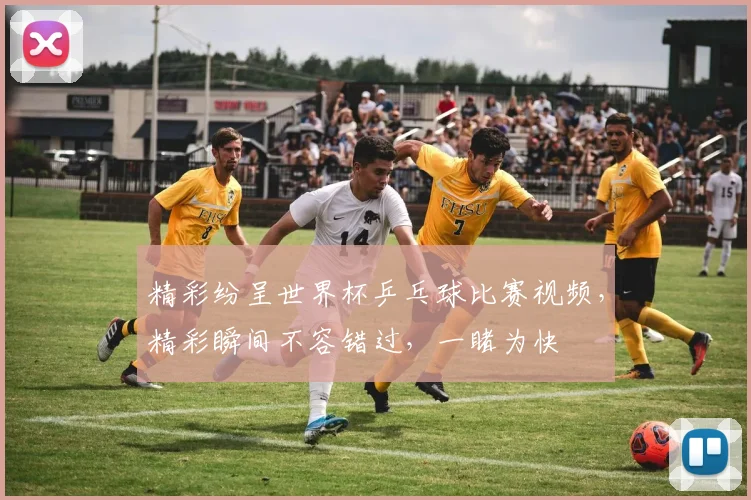 精彩纷呈世界杯乒乓球比赛视频，精彩瞬间不容错过，一睹为快