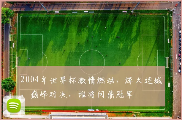2004年世界杯激情燃动，烽火连城，巅峰对决，谁将问鼎冠军