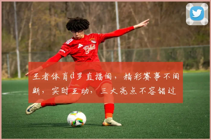 王者体育d罗直播间，精彩赛事不间断，实时互动，三大亮点不容错过，尽享观赛乐趣