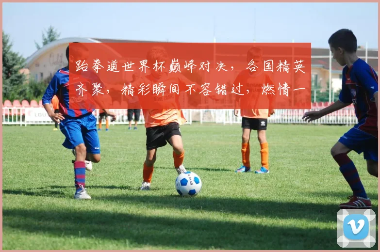 跆拳道世界杯巅峰对决，各国精英齐聚，精彩瞬间不容错过，燃情一触即发