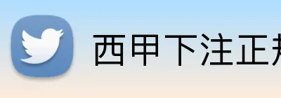 西甲下注正规网站 logo